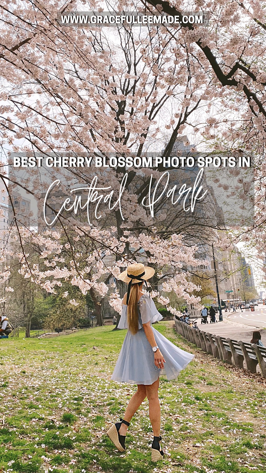 🏞️ 후지시 중앙공원 (후지시 주오코엔) 이미지 6